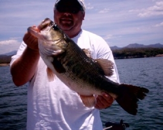 pescando bajo el sol